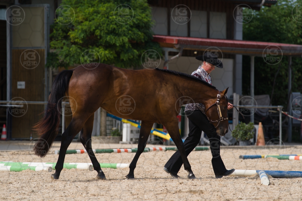 s_batch_A9_00107.jpg